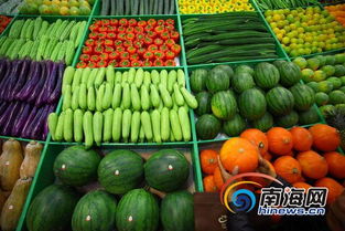 海口启动平价菜投放计划 每日200吨保供应稳价格