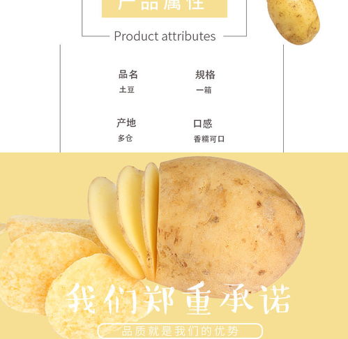 云南黄皮小土豆 现挖现卖的新鲜马铃薯，体验泥土的芬芳